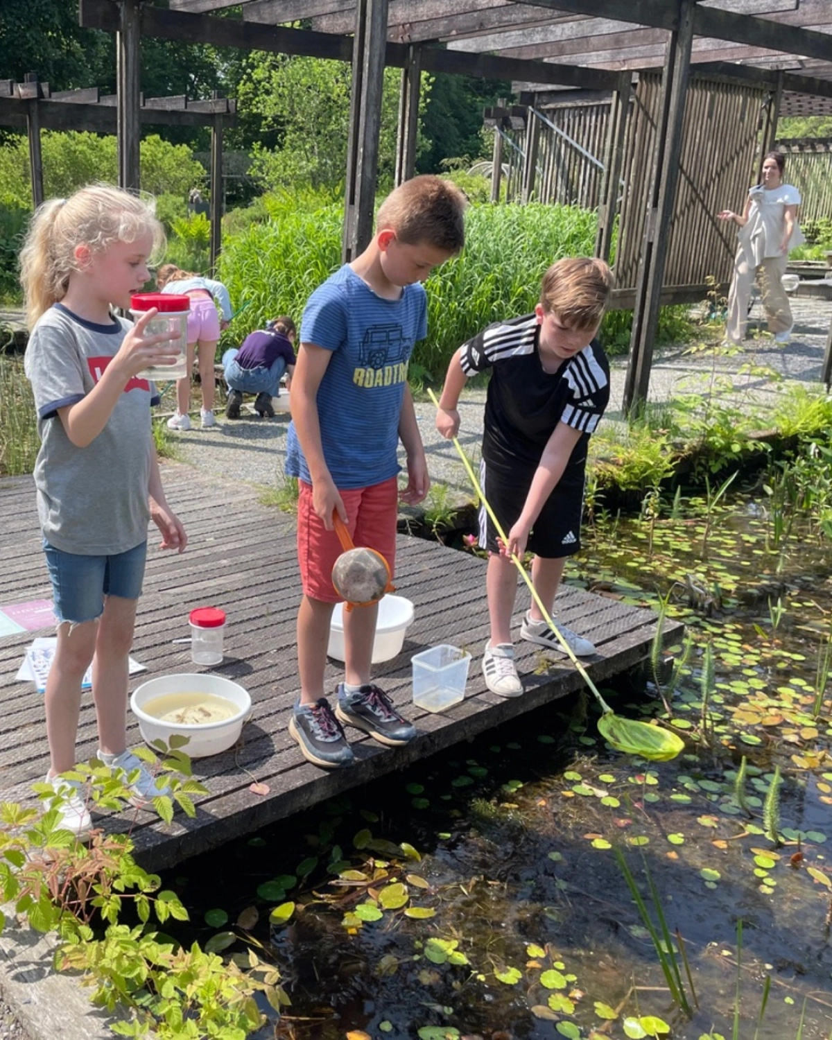 Water creature excursion in the morning